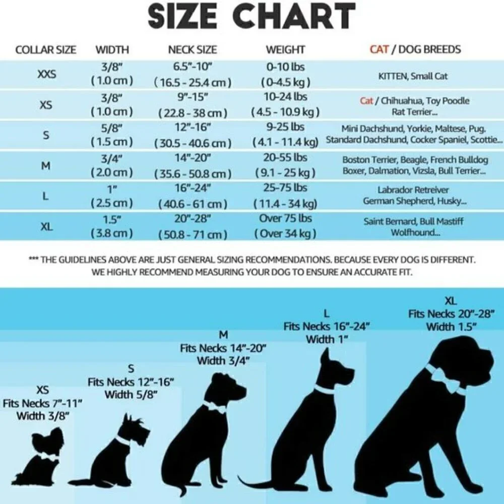 PET COLLAR JUNGLE ADVENTURES DOG CATS